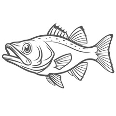 Common Snook Fish Line Art Illustration