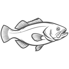 Chilean Seabass Line Art Illustration Icon