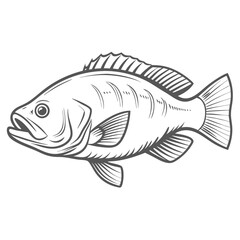 Cubera Snapper Fish Line Art Illustration