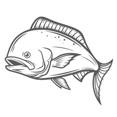 Mahi-Mahi Dorado Fish Line Art Illustration