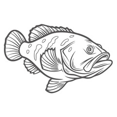 Nassau Grouper Outline Drawing Illustration