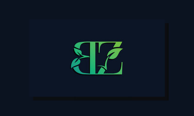 Fototapeta premium Minimal leaf style Initial BZ logo.