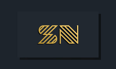 Elegant line art initial letter  SN  logo.
