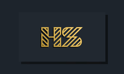 Elegant line art initial letter  HS  logo.