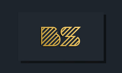 Elegant line art initial letter BS logo.