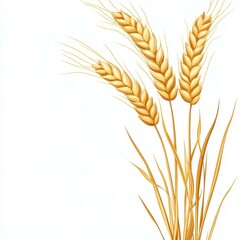 Golden wheat ears stand tall, highlighted against a crisp white background for a fresh, natural look.