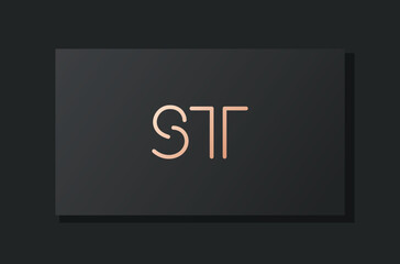 Abstract luxury initial letter ST logo.