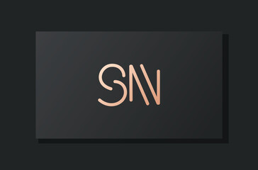 Abstract luxury initial letter SN logo.