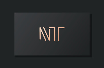 Abstract luxury initial letter NT logo.