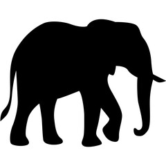 Elephant silhouette