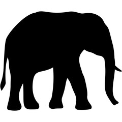 Elephant silhouette
