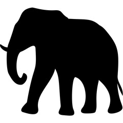 Elephant silhouette