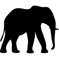 Obraz premium Elephant silhouette