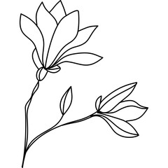 Line Drawing Vector Magnolia Flower