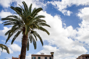 Vacation, holiday in a warm tropical country, a sense of euphoria, relaxation and refreshment. Time...