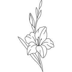 Gladiolus Flower Line Art