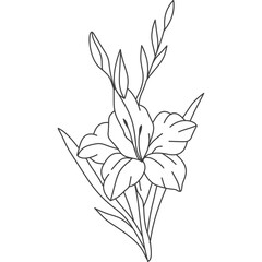 Gladiolus Flower Line Art