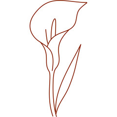 alcatraz, outline, hand drawn, illustration, isolated, line, minimal, nature, plant, garden, pretty flower, silhouette, simple, single alcatraz, sketch, summer, graphic, flower, alcatraz flower, color