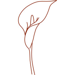 alcatraz, outline, hand drawn, illustration, isolated, line, minimal, nature, plant, garden, pretty flower, silhouette, simple, single alcatraz, sketch, summer, graphic, flower, alcatraz flower, color