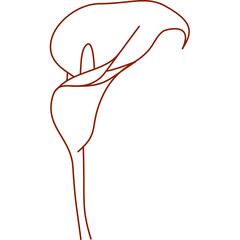 alcatraz, outline, hand drawn, illustration, isolated, line, minimal, nature, plant, garden, pretty flower, silhouette, simple, single alcatraz, sketch, summer, graphic, flower, alcatraz flower, color