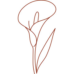 alcatraz, outline, hand drawn, illustration, isolated, line, minimal, nature, plant, garden, pretty flower, silhouette, simple, single alcatraz, sketch, summer, graphic, flower, alcatraz flower, color