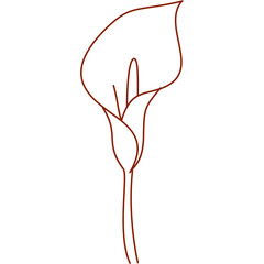 alcatraz, outline, hand drawn, illustration, isolated, line, minimal, nature, plant, garden, pretty flower, silhouette, simple, single alcatraz, sketch, summer, graphic, flower, alcatraz flower, color