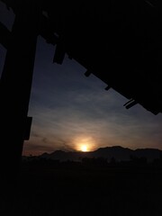 Close up vibrant wildflowers meadow summer morning sunlight nature beauty floral photography