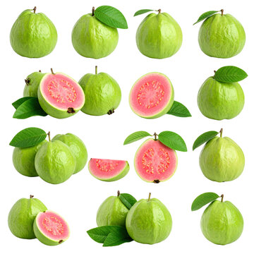 guava collection with leaves isolated on white or transparent     