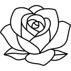 Rose Line Art