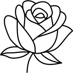 Rose Line Art