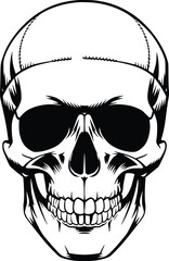 Black and white bold vector of a detailed skull, isolated on white background.