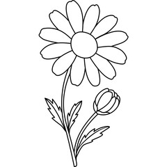 Daisy Outline Outline Hand Drawn