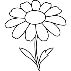 Daisy Outline Outline Hand Drawn
