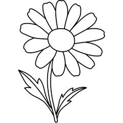 Daisy Outline Outline Hand Drawn