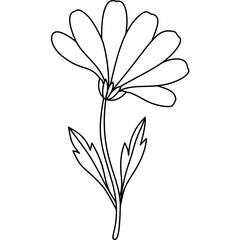 Daisy Outline Outline Hand Drawn