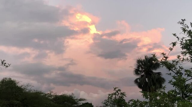 sunset in the field