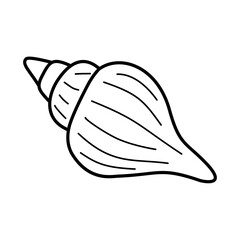 Seashell Outline Illustration