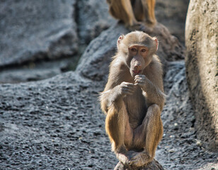 Obraz premium street photo