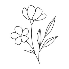 Delicate Botanical Line Art