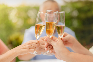 A group of people clink champagne glasses together in a celebratory toast. The image conveys joy, celebration, and togetherness in an outdoor setting, symbolizing special moments and shared happiness.