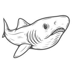 Basking Shark Illustration, Cetorhinus Maximus Outline