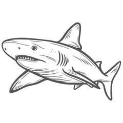Blacktip Reef Shark Line Art Illustration