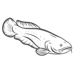 African Lungfish Line Art Illustration, Protopterus