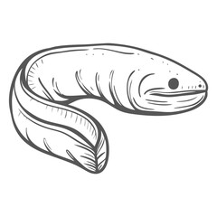 Atlantic Hagfish Illustration - Myxine Glutinosa