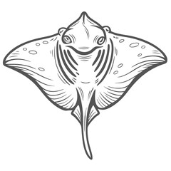 Manta Ray Illustration - Oceanic Mobula Birostris