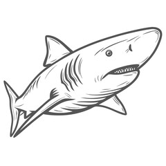 Lemon Shark Line Art, Negaprion brevirostris Illustration