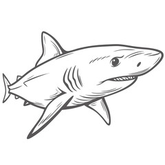 Mako Shark Outline Illustration - Isurus Oxyrinchus