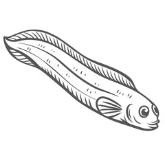 Oarfish Regalecus Glesne Line Art Illustration