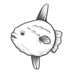 Ocean Sunfish Mola Mola Line Art Illustration