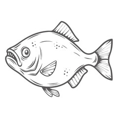 Piranha Line Art, Red-Bellied Pygocentrus Nattereri